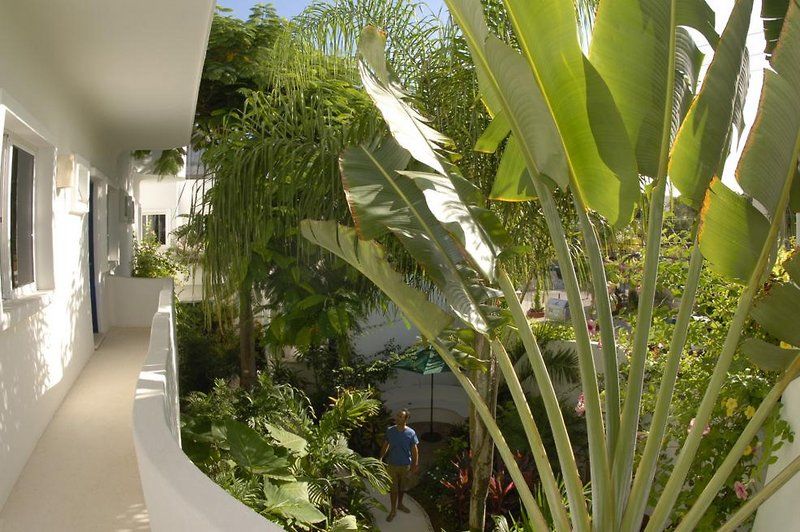 Aqualuna Boutique Hotel By Sunrise (Adults Only) Playa del Carmen Exteriör bild